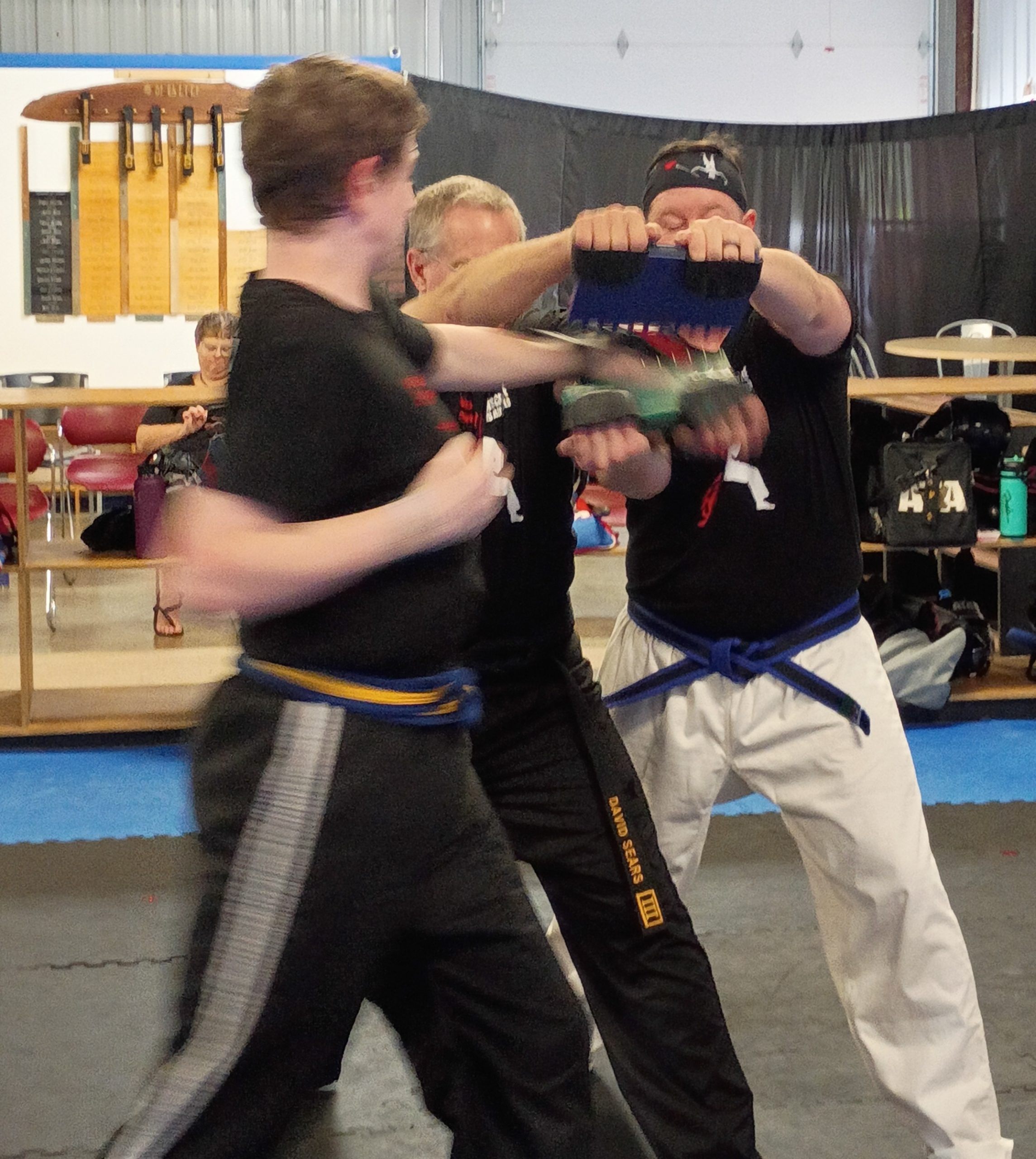 7 Lifestyle & Career Benefits of Martial Arts for Adults