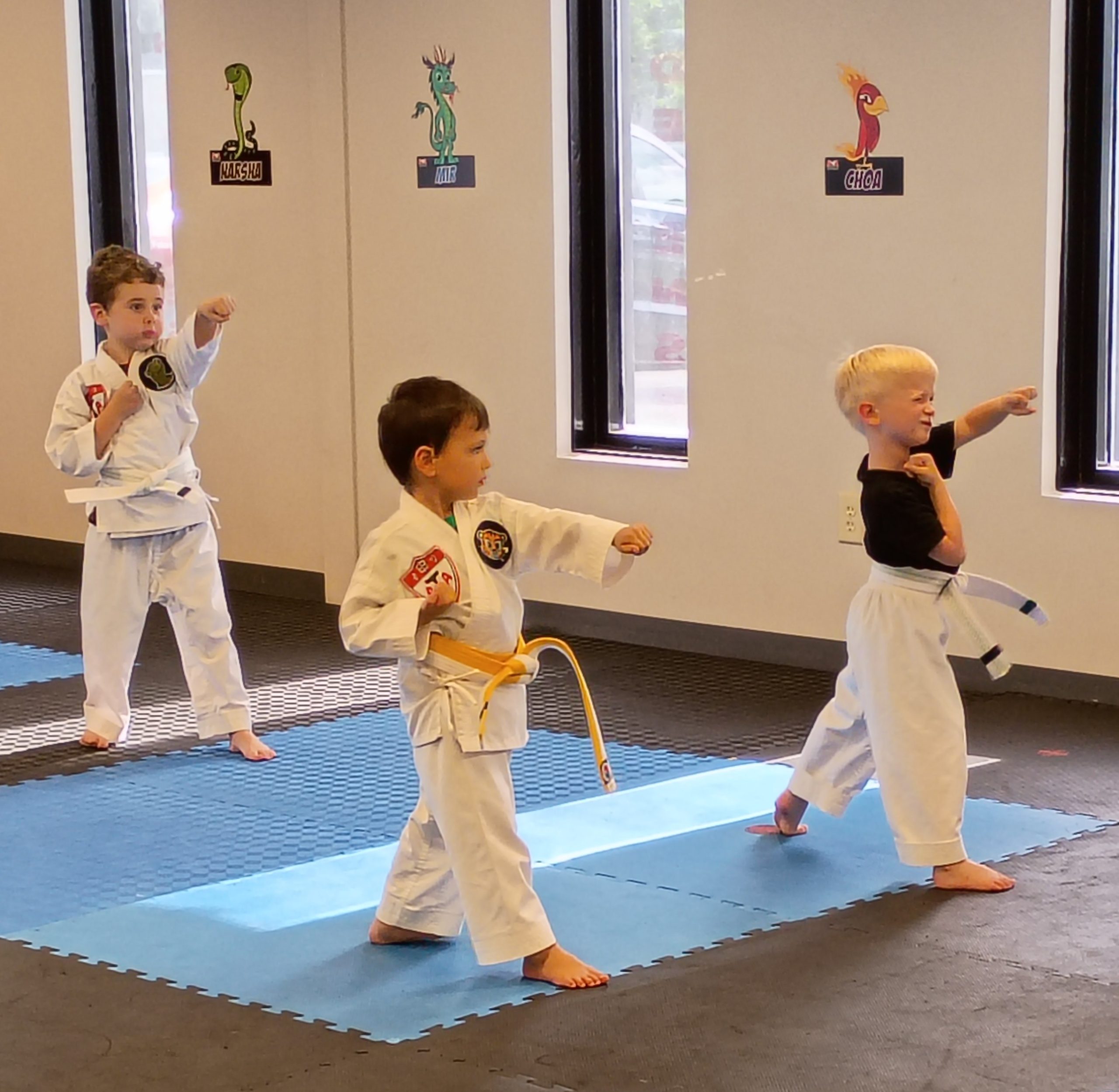 Is Your Child Ready for Martial Arts?