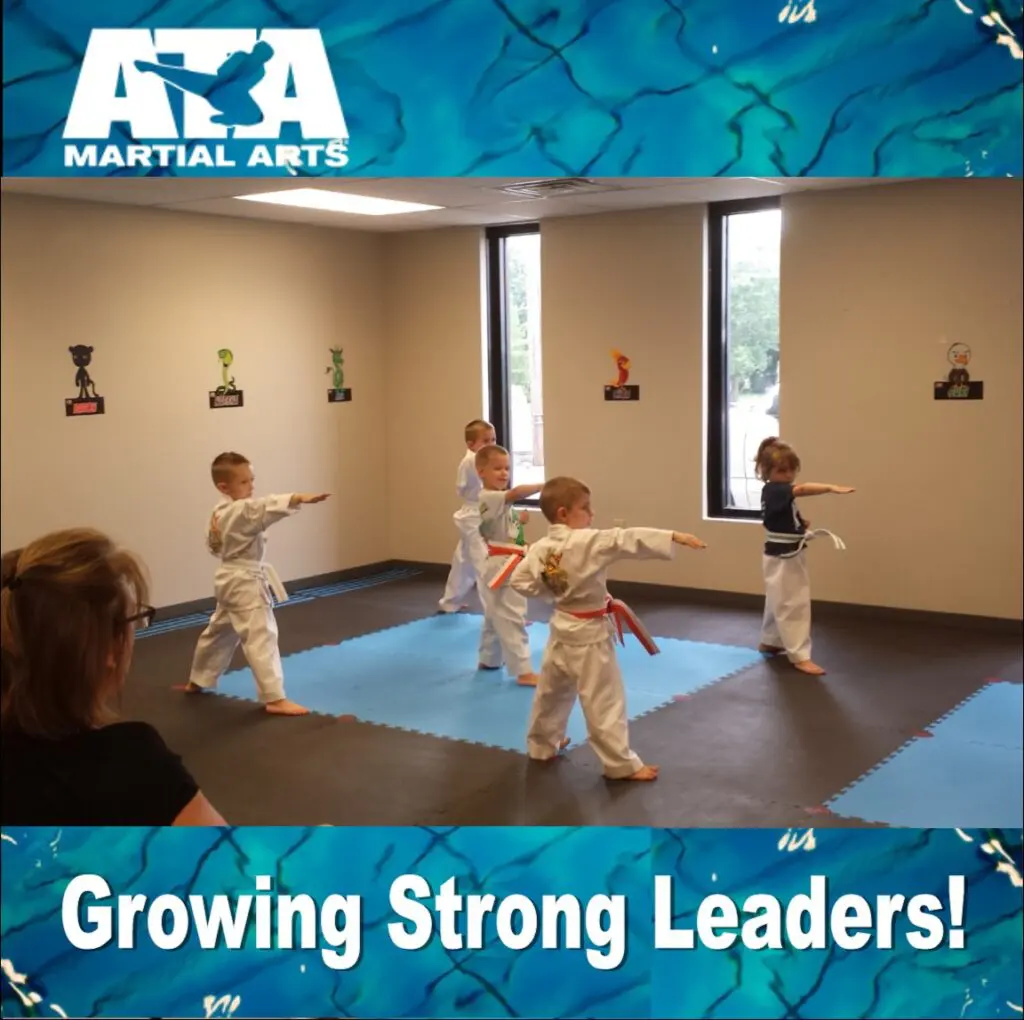 Preschool Taekwondo Classes in Greenwood