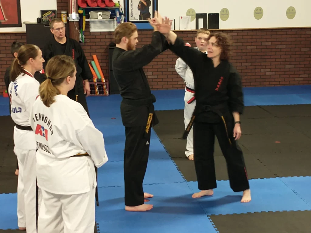 Adult Taekwondo Classes in Greenwood
